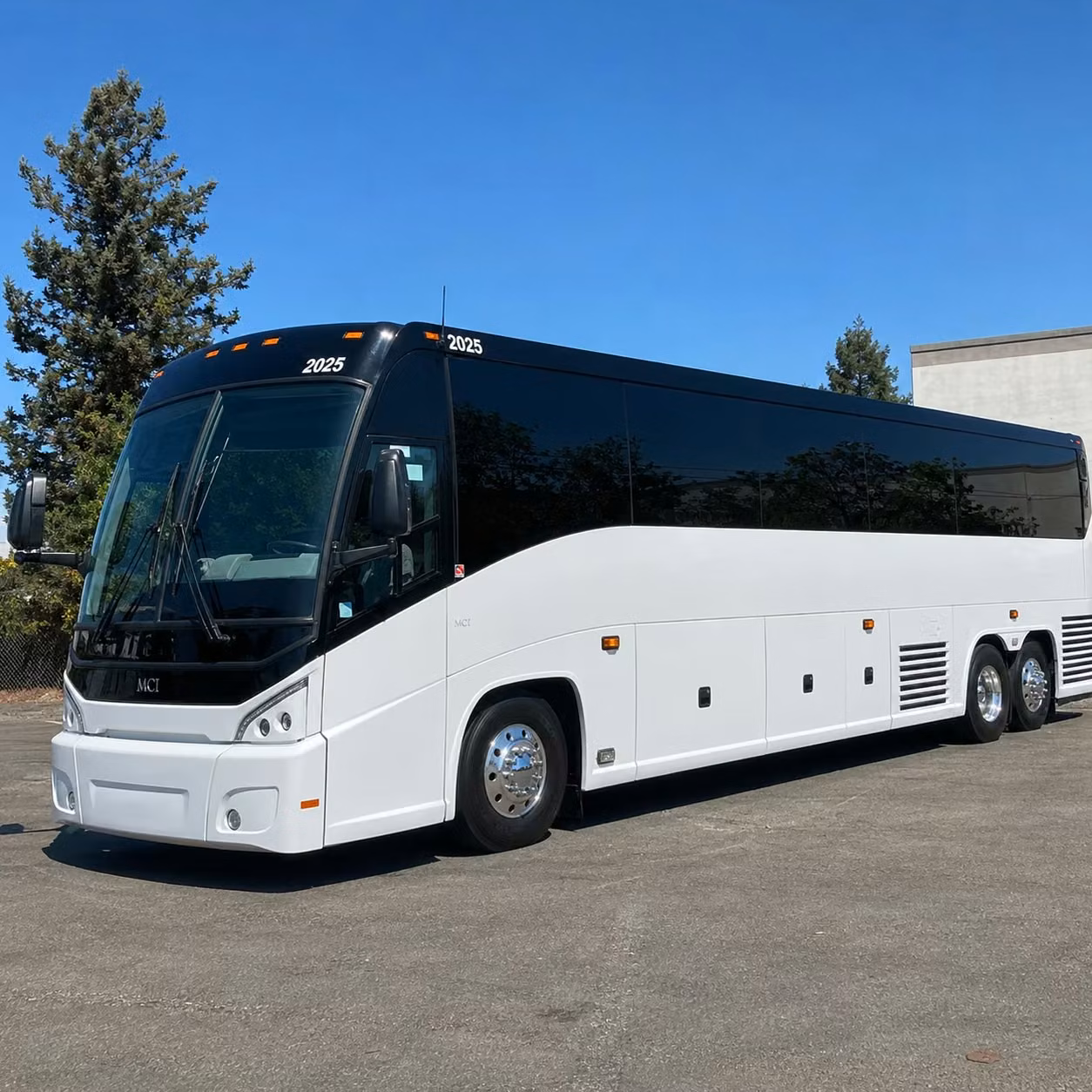 56 passenger charter bus